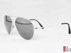 BOURGEOIS F14 Sunglasses Silver Frame Pilot Shape